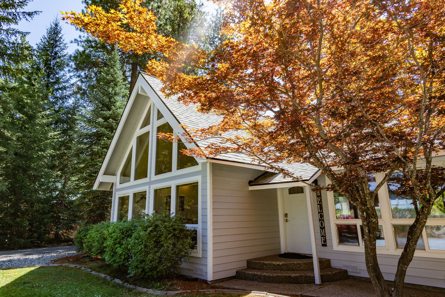 Front of a white A-frame home framed by a red Japanese maple